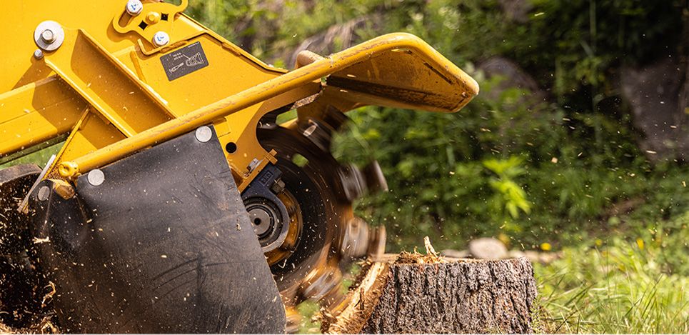 Stump Grinding | Marietta OH & Parkersburg WV | Black's Tree Service LLC
